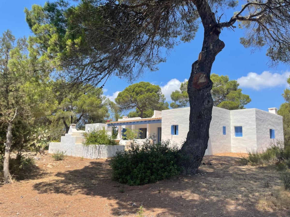 Sa Tanca Des Pla Vila San Francisco Javier Exterior foto